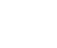 Pascal Chevron Transports, votre transporteur sans rupture de charge pour le Gard, l’Hérault, la Loire et le Rhône | Logo blanc